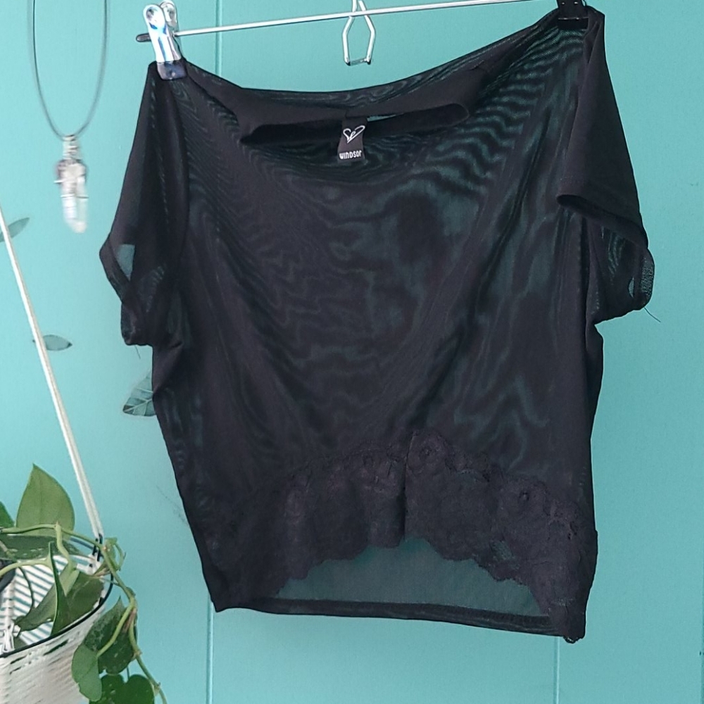 Windsor Sheer crop top